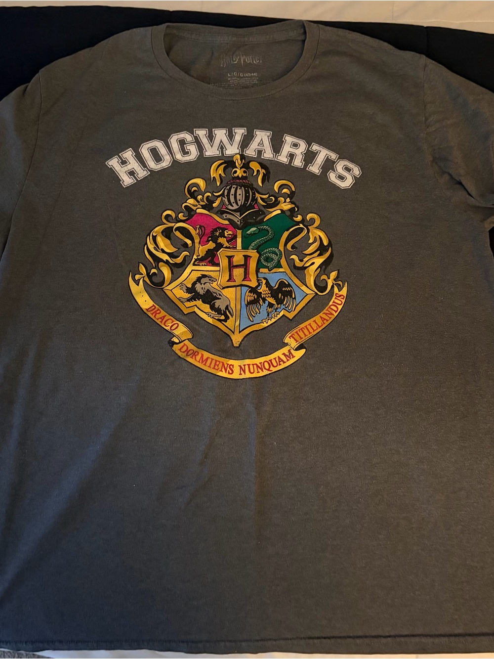 Hogwarts Crest Kids T-Shirt - Dark Gray